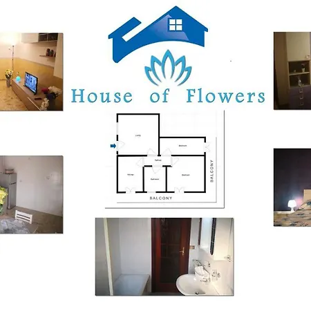 House Of Flowers